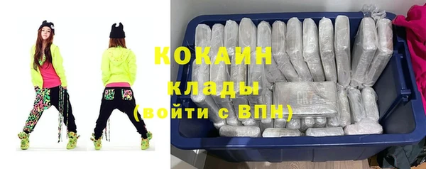 амф Пересвет