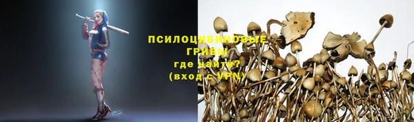 амф Пересвет