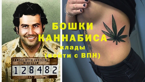 амф Пересвет