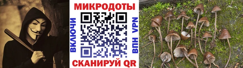 Псилоцибиновые грибы мухоморы  Сысерть 